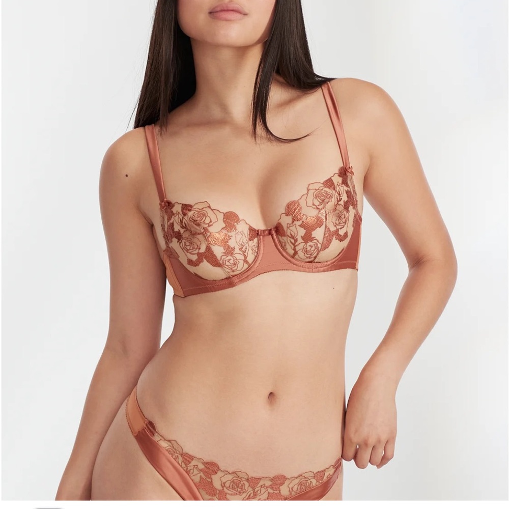 DITA VON TEESE Roselle bra 36B and panty M set in copper NWT